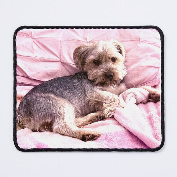 Item preview, Yorkie designed and sold by ROSENDE ART HOUSE.