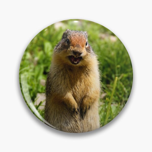 Item preview, Well, Hello There! – Columbian Ground Squirrel designed and sold by Kimberly Palmer.