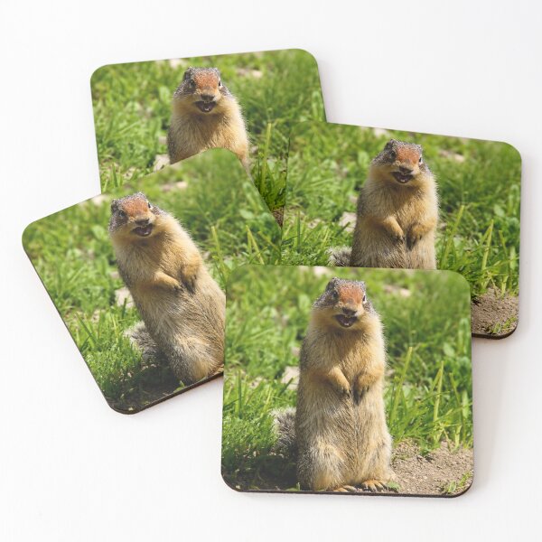 Item preview, Well, Hello There! – Columbian Ground Squirrel designed and sold by Kimberly Palmer.