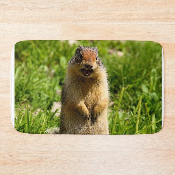 Item preview, Well, Hello There! – Columbian Ground Squirrel designed and sold by Kimberly Palmer.