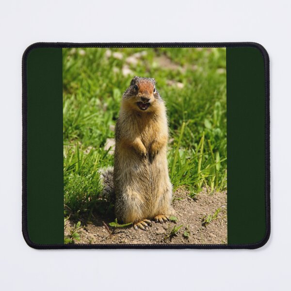 Item preview, Well, Hello There! – Columbian Ground Squirrel designed and sold by Kimberly Palmer.