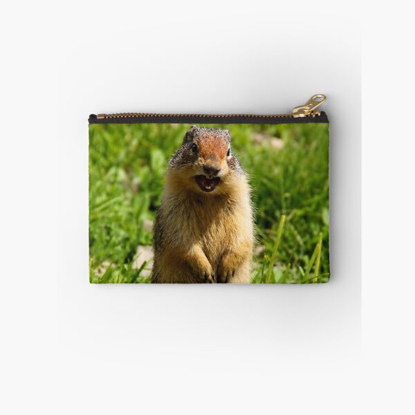 Item preview, Well, Hello There! – Columbian Ground Squirrel designed and sold by Kimberly Palmer.