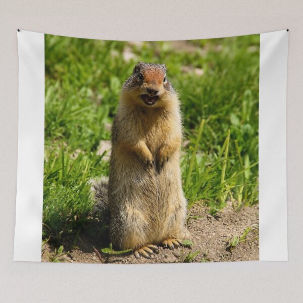 Item preview, Well, Hello There! – Columbian Ground Squirrel designed and sold by Kimberly Palmer.