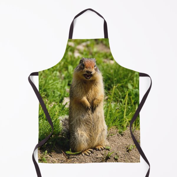 Item preview, Well, Hello There! – Columbian Ground Squirrel designed and sold by Kimberly Palmer.