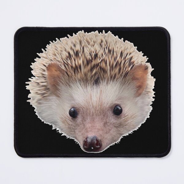 Item preview, Hedgehog Face designed and sold by ArtByKevG.