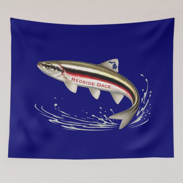 Item preview, Redside Dace Michigan Minnow designed and sold by FreshWaterWares.