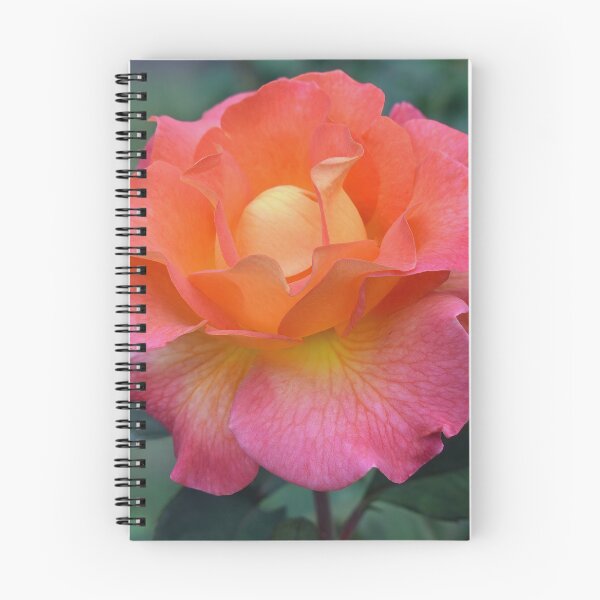 Item preview, Vibrant Orange and Pink Rose designed and sold by bertsworks300.