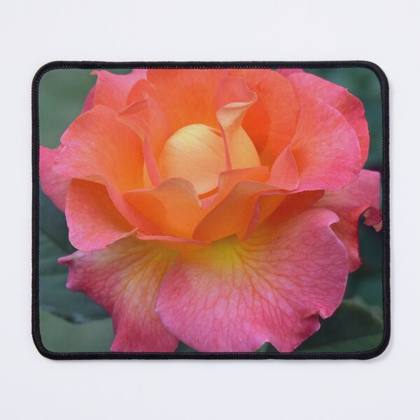 Item preview, Vibrant Orange and Pink Rose designed and sold by bertsworks300.