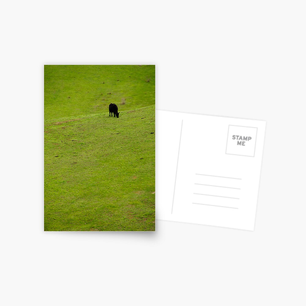 Grazing Postcard