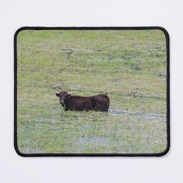 Item preview, Cow in the water designed and sold by XaviFotografia.