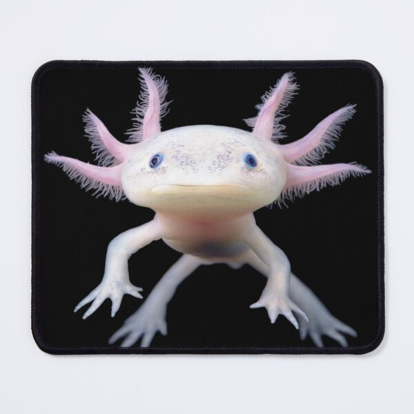 Item preview, Axolotl designed and sold by Bigkite.