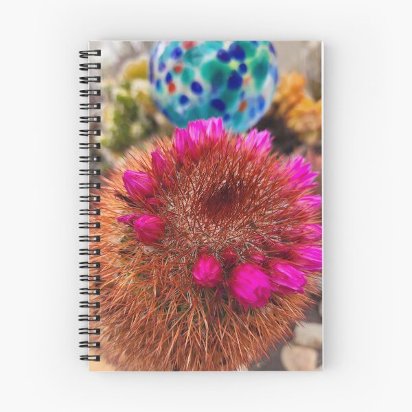 Item preview, Pincushion Cactus designed and sold by CaliGirlTreasur.