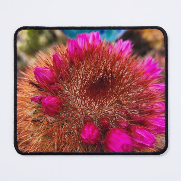 Item preview, Pincushion Cactus designed and sold by CaliGirlTreasur.