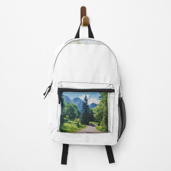 Item preview, Vintage Tatras Mountains Polaroid Photo - Koscieliska Valley Trail designed and sold by GabeMountainArt.
