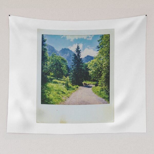 Item preview, Vintage Tatras Mountains Polaroid Photo - Koscieliska Valley Trail designed and sold by Gabe1983.