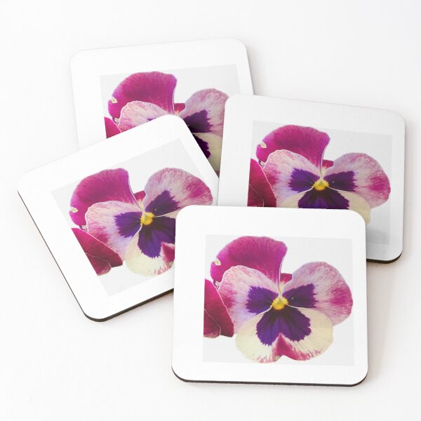 Item preview, Tricolor Purple and Cream Pansy Bloom Isolated on White designed and sold by BalkanBloom.