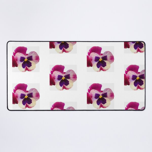 Item preview, Tricolor Purple and Cream Pansy Bloom Isolated on White designed and sold by BalkanBloom.