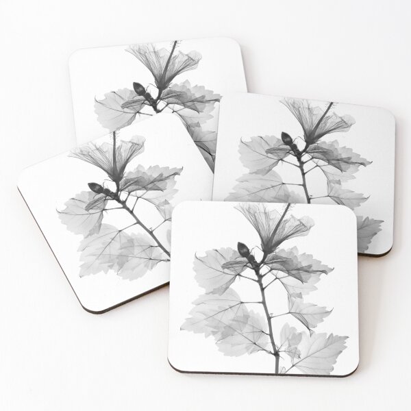 Item preview, Black and White Flower designed and sold by TheMadTeaParty.
