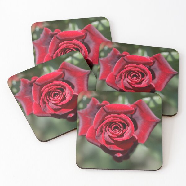 Item preview, Red rose in summer garden designed and sold by olena2552.