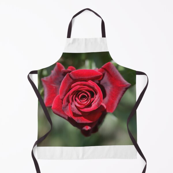 Item preview, Red rose in summer garden designed and sold by olena2552.