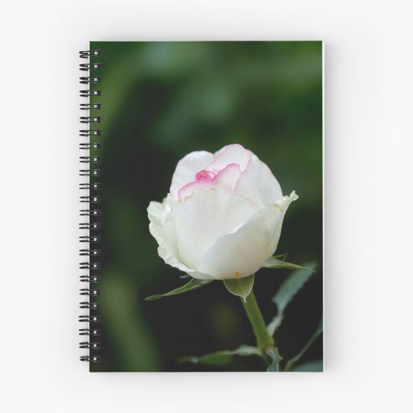 Item preview, White rose in summer garden designed and sold by olena2552.
