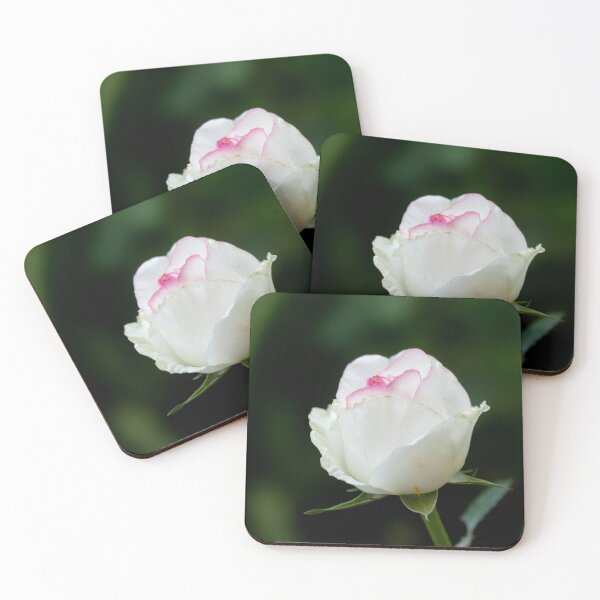 Item preview, White rose in summer garden designed and sold by olena2552.