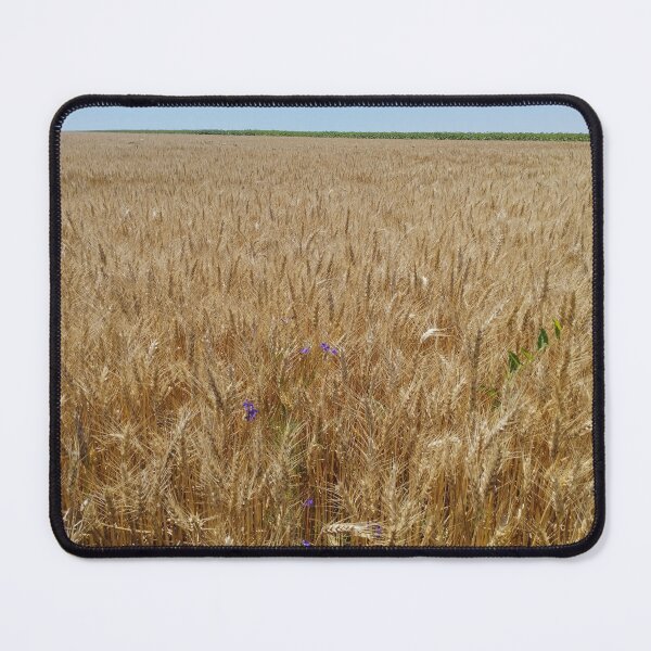 Item preview, Wheat Field at the Beginning of Summer  designed and sold by inspiration3.