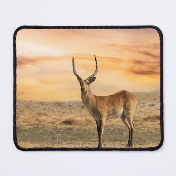 Item preview, Male Impala designed and sold by Kay Brewer.