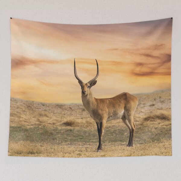Item preview, Male Impala designed and sold by Kay Brewer.