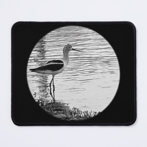 Item preview, American Avocet designed and sold by carlables.