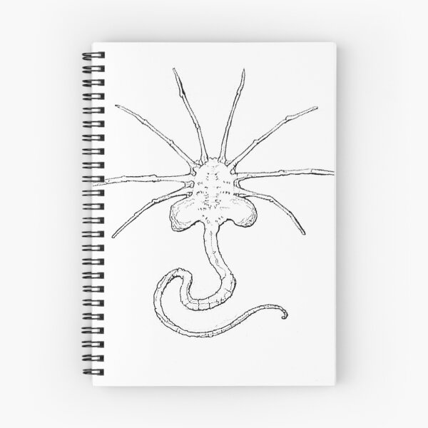 Artikelvorschau, Facehugger entworfen und verkauft von MattGuyArt.
