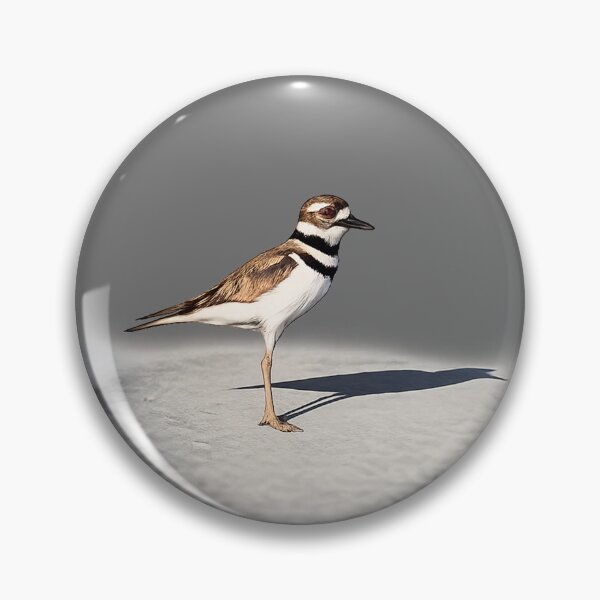 Item preview, Killdeer in Sight designed and sold by carlables.