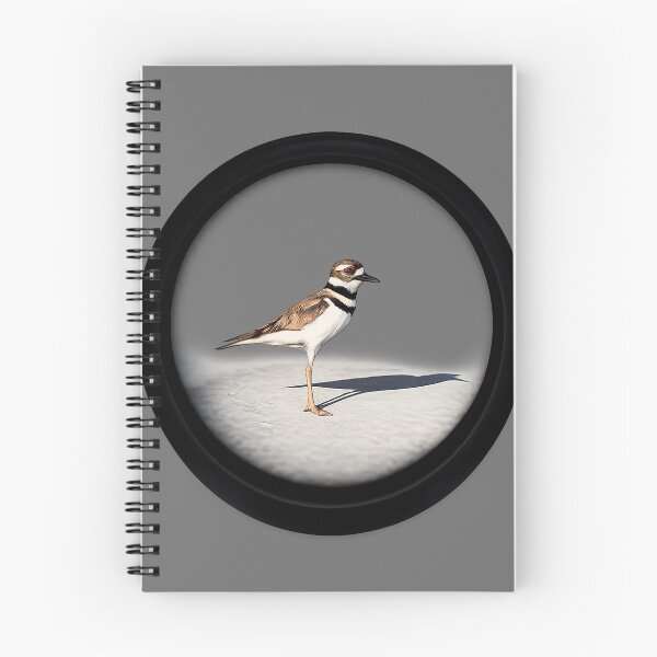 Item preview, Killdeer in Sight designed and sold by carlables.
