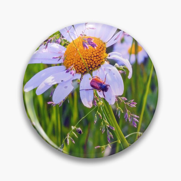 Item preview, Flower beetle on Daisy  designed and sold by bluerosesart37.