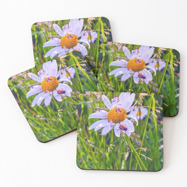 Item preview, Flower beetle on Daisy  designed and sold by bluerosesart37.