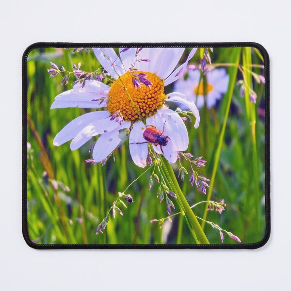 Item preview, Flower beetle on Daisy  designed and sold by bluerosesart37.