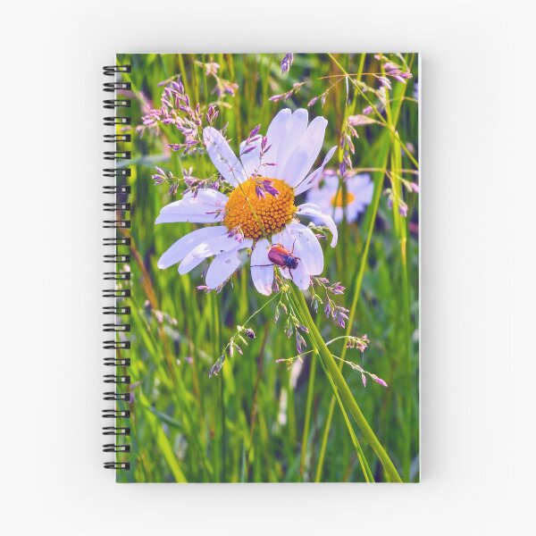 Item preview, Flower beetle on Daisy  designed and sold by bluerosesart37.