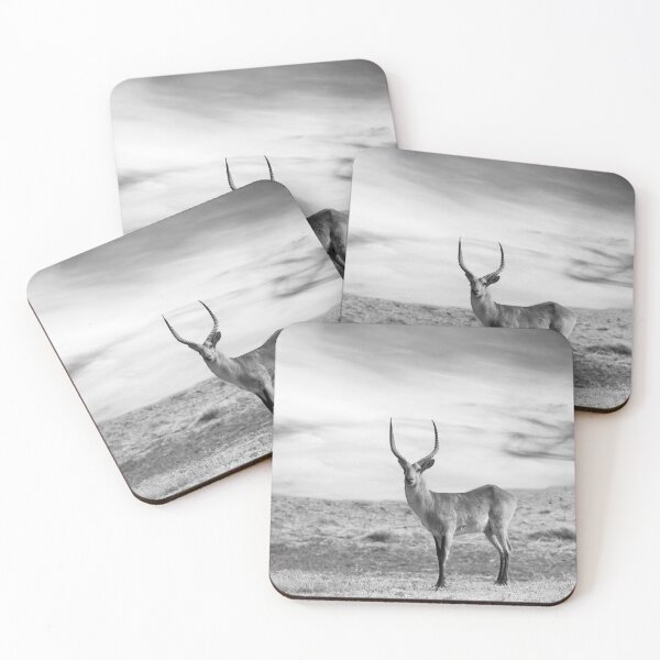 Item preview, Male Impala In Black and White designed and sold by Kay Brewer.