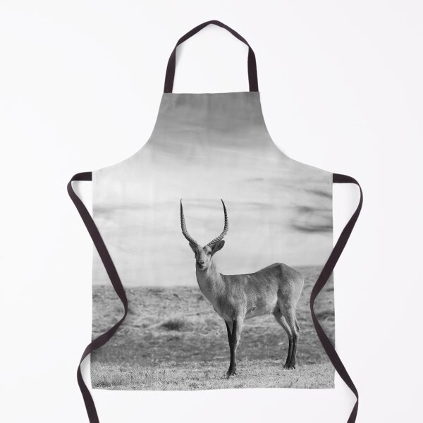 Item preview, Male Impala In Black and White designed and sold by Kay Brewer.