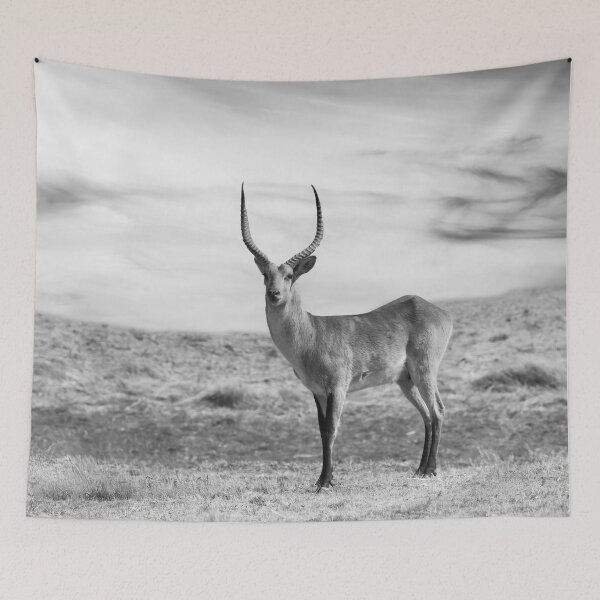 Item preview, Male Impala In Black and White designed and sold by Kay Brewer.