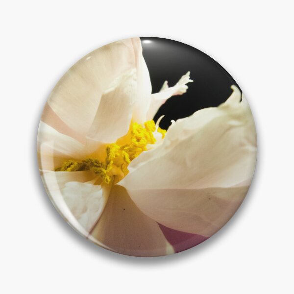 Item preview, Gentle White Peony Macro Blossom on Black Background designed and sold by Apex_Visuals.