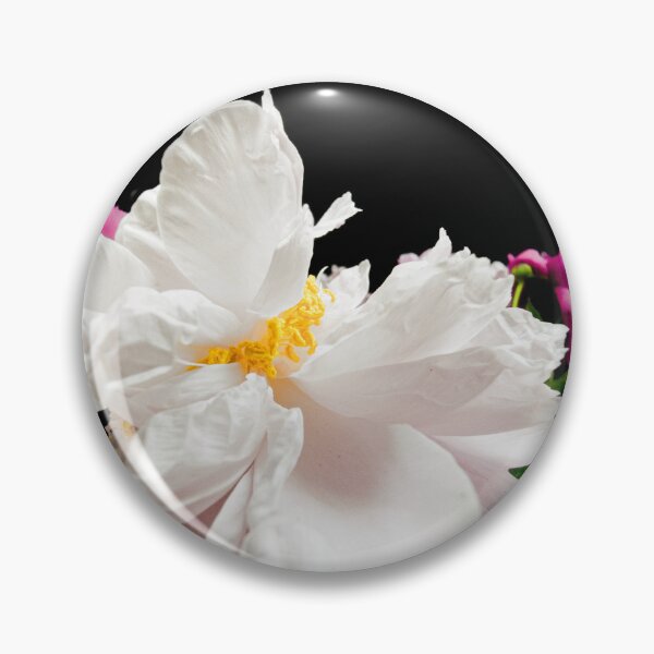 Item preview, Elegant White and Pink Peony Flower on Black Background designed and sold by Apex_Visuals.