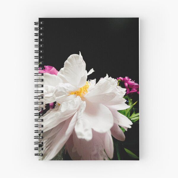 Item preview, Elegant White and Pink Peony Flower on Black Background designed and sold by Apex_Visuals.