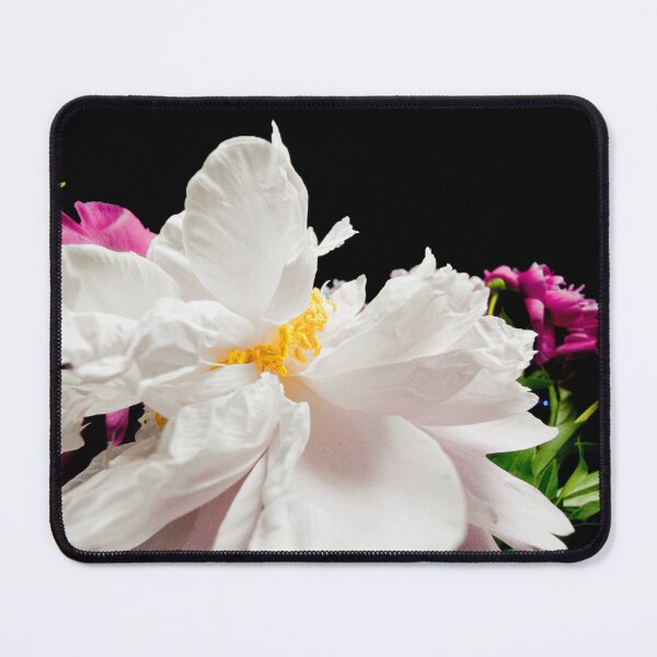 Item preview, Elegant White and Pink Peony Flower on Black Background designed and sold by Apex_Visuals.