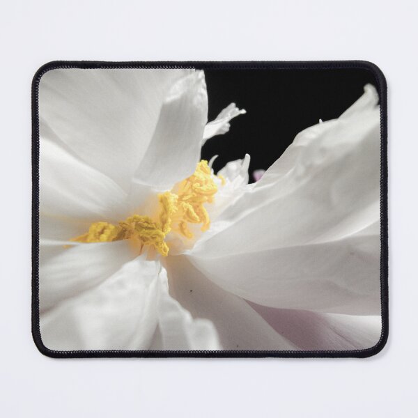 Item preview, Minimalist White Peony Flower Macro on Black Background designed and sold by Apex_Visuals.