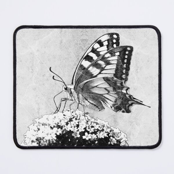 Item preview, Swallowtail Butterfly Buddleia Dark Natural History Botanical Art designed and sold by Ghoul Enterprises.