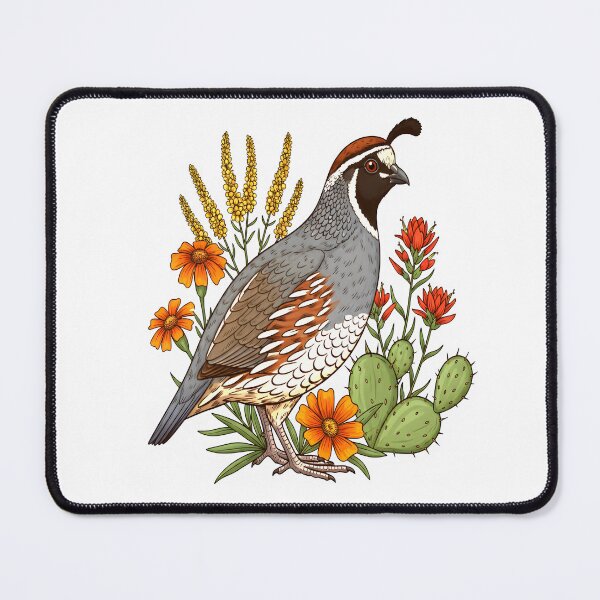 Item preview, California Quail And Desert Flora designed and sold by Birdhaus-Studio.