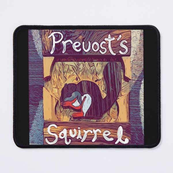 Item preview, Black and Reddish Brown Asiatic Prevost’s Squirrel Intarsia designed and sold by Jonathan's Nature Crafts.