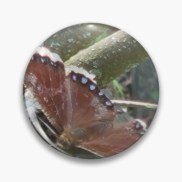 Item preview, This is a Mourning Cloak butterfly (Nymphalis antiopa), identifiable by its velvety maroon-brown wings bordered by a ragged, creamy-yellow band. designed and sold by TKUsitalo.