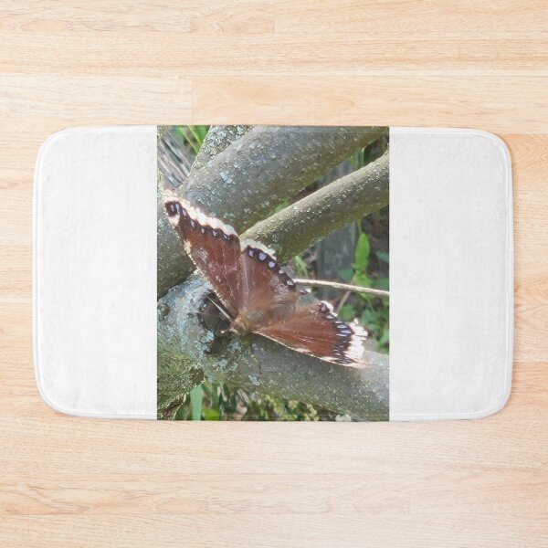 Item preview, This is a Mourning Cloak butterfly (Nymphalis antiopa), identifiable by its velvety maroon-brown wings bordered by a ragged, creamy-yellow band. designed and sold by TKUsitalo.
